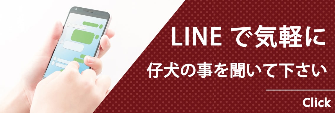 リンカーンラインタグ