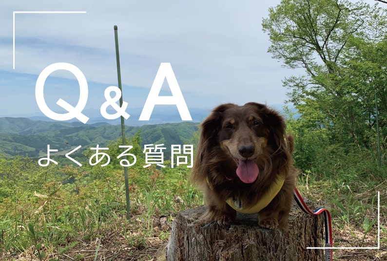 福井のペットショップのリンカーンファームのよくある質問