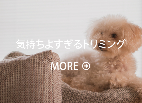 リンカーンファームのトリミング料金