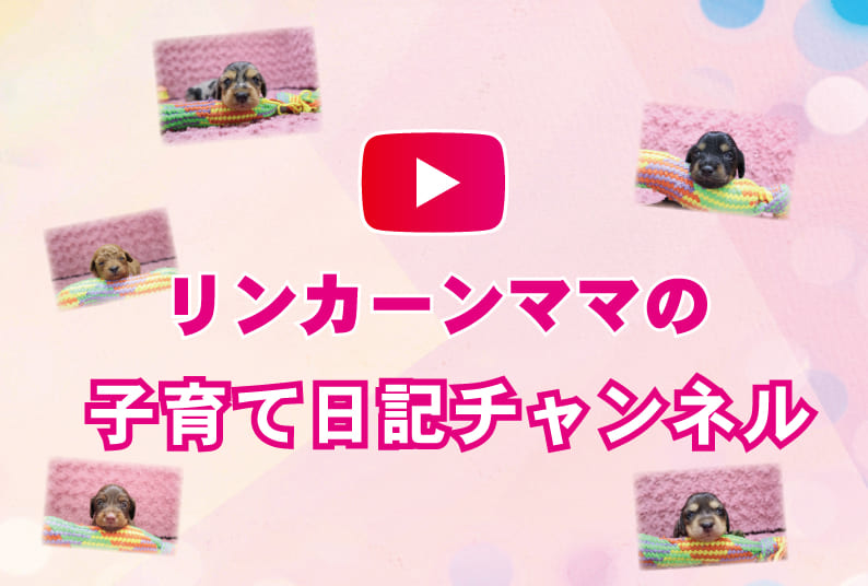 リンカーンママの育児日記YouTubeチャネルタグ