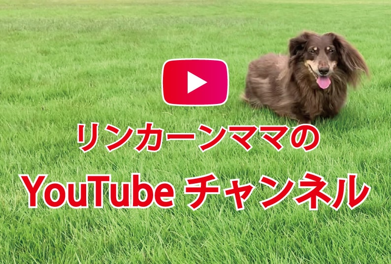 リンカーンママのYouTubeチャネルタグ